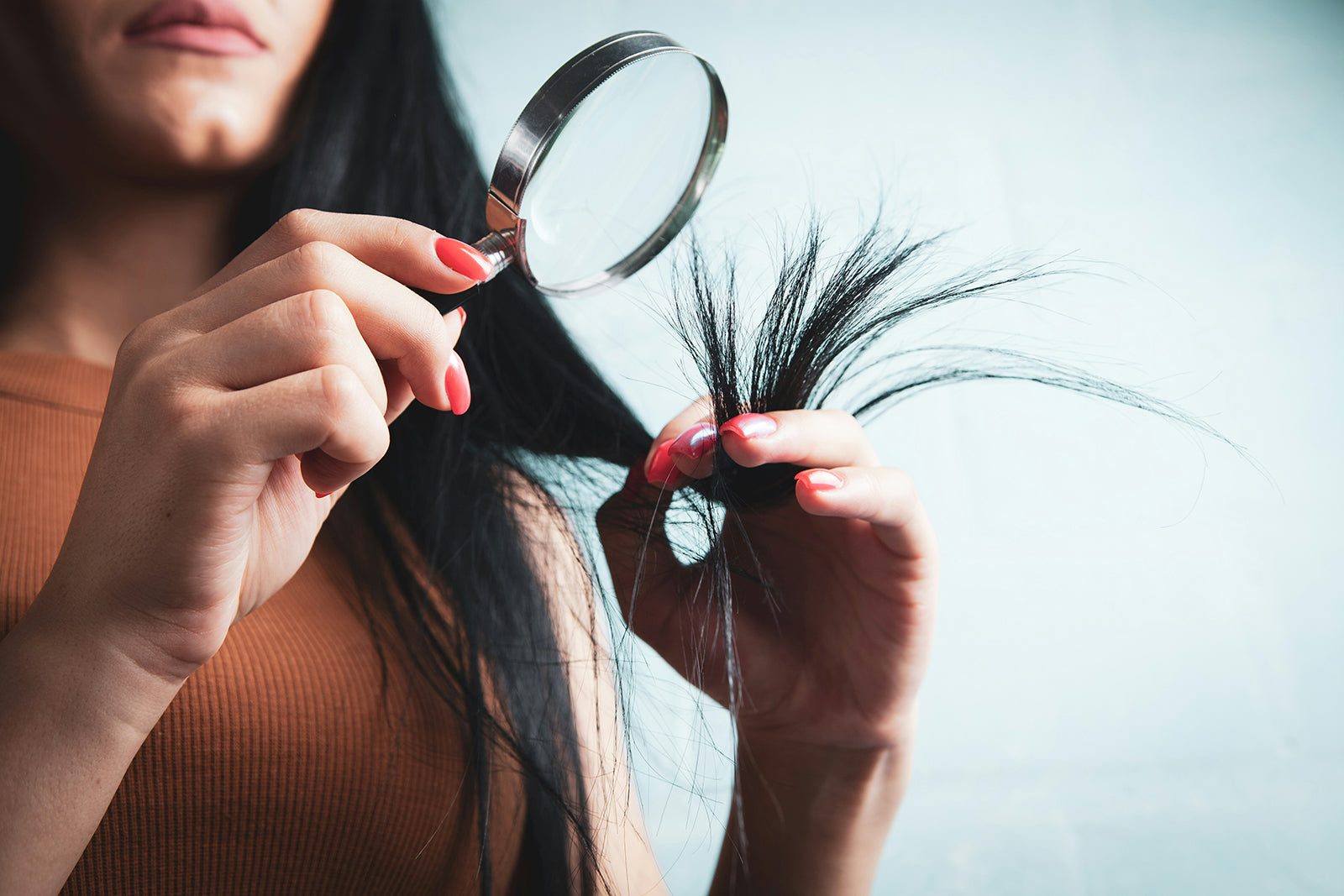 How to Repair Damaged Hair at Home: The LPP Protein Routine
