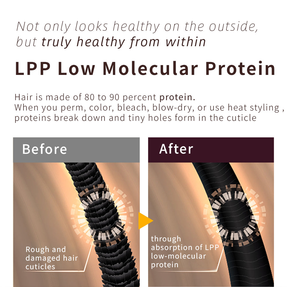 Lpp LPP Protein Repair Shampoo 1000ml – Park Jun Beautylab